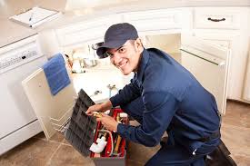 Best Garbage Disposal Repair and Installation  in Fallon, NV